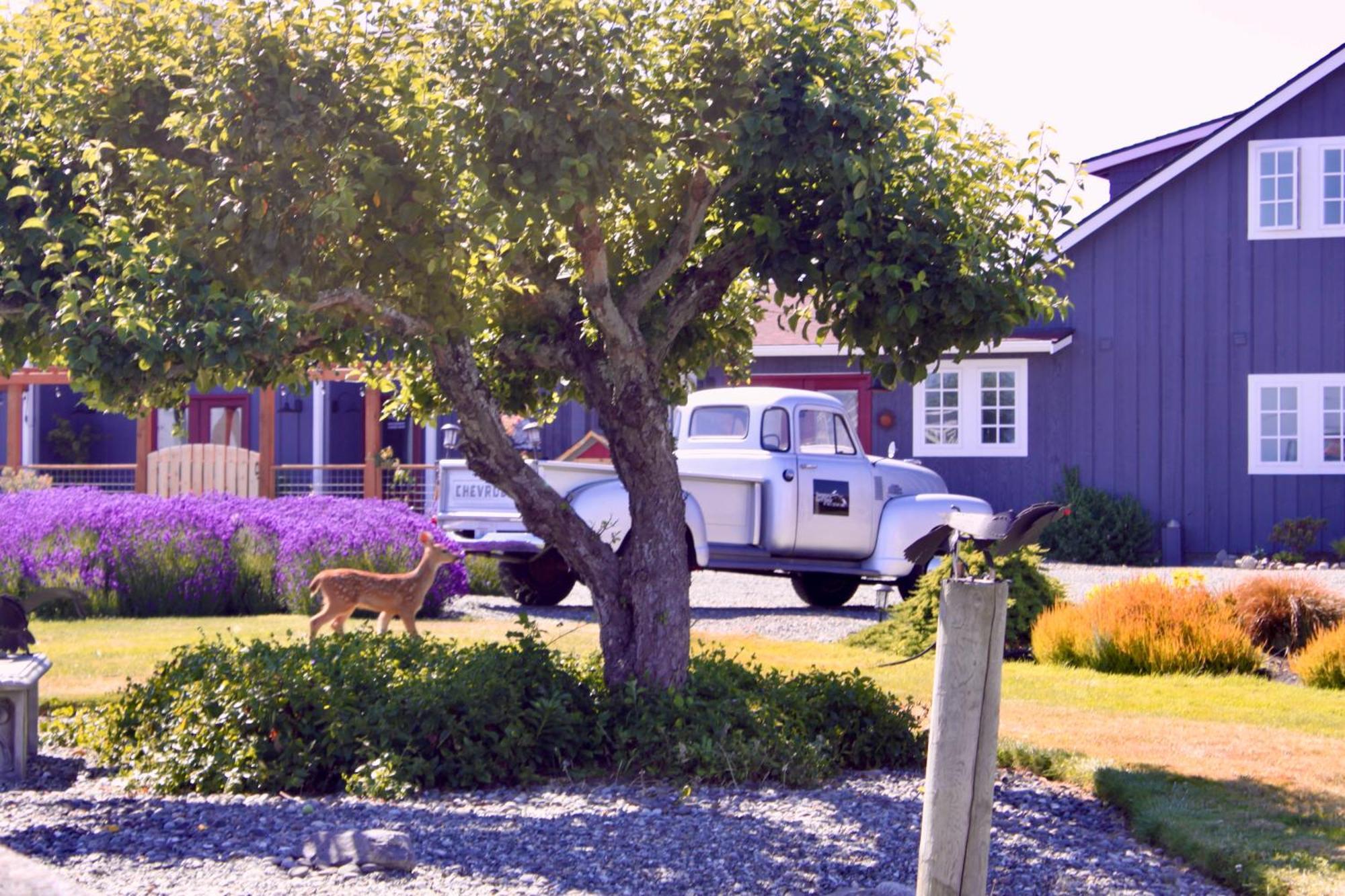 Dungeness Barn House Bed And Breakfast At Two Crows Farm Sequim Exterior foto